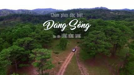 Chùm phim “Đáng sống